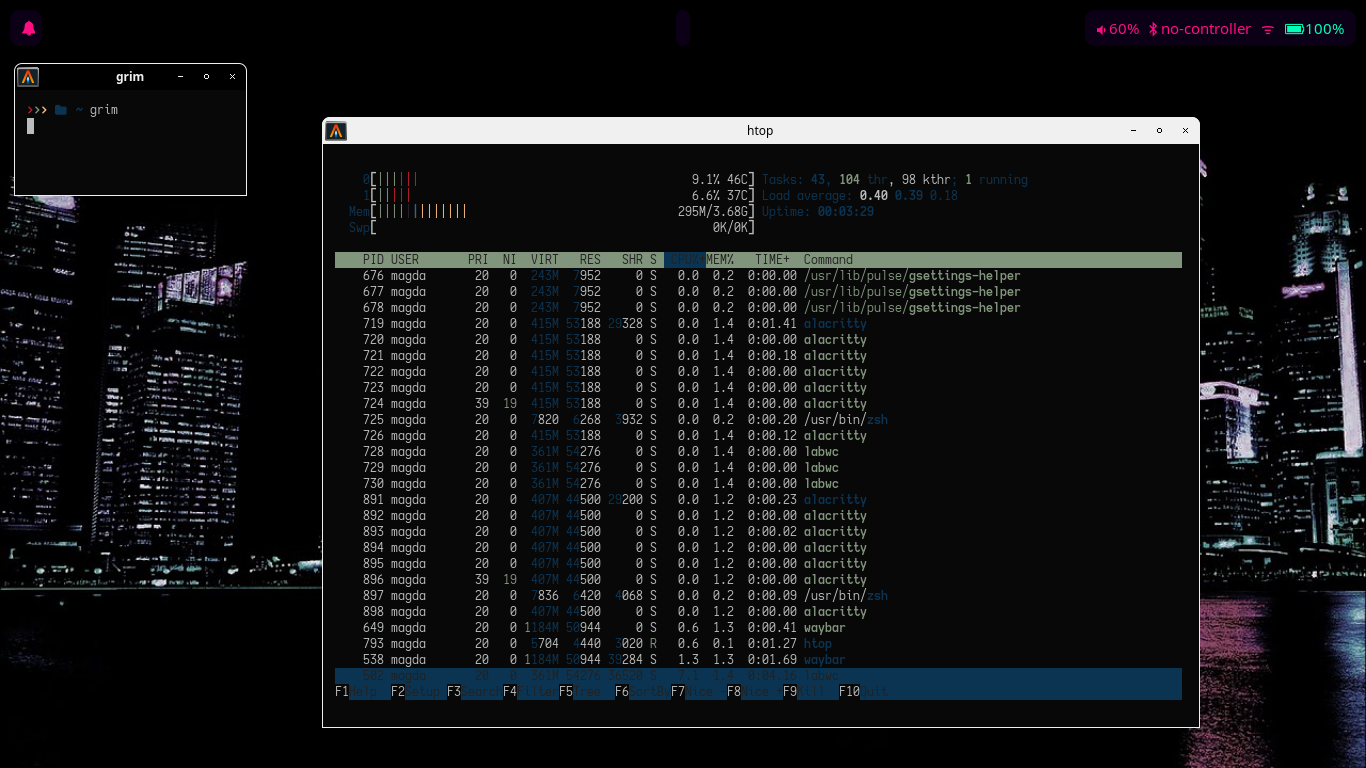 Screenshot of a labwc desktop